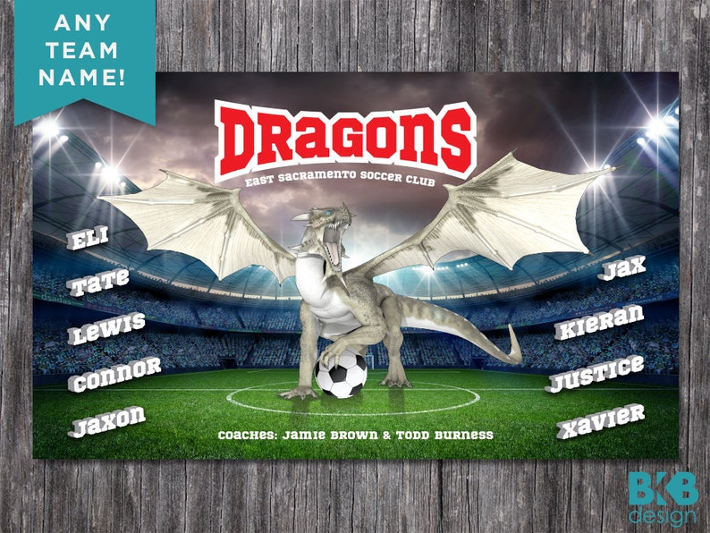 Custom Vinyl Soccer Team Banner, Sports Team Banners, Team Banners, Lightning image 5