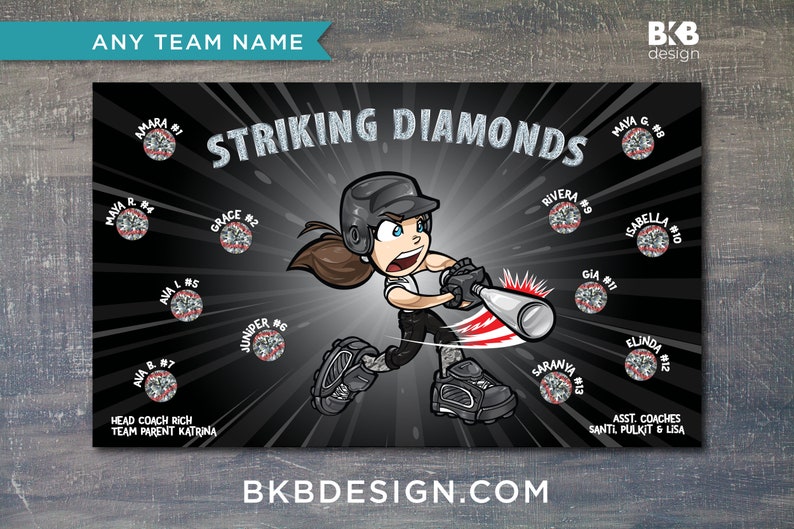 Custom Vinyl Softball Banner, Little League Banner, T-Ball Banner, Softball Banner, Team Banner Diamond Hitters image 6