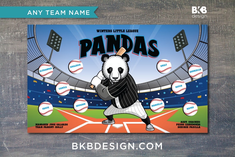 Custom Vinyl Baseball Banner, Little League Banner, T-Ball Banner, Softball Banner, Team Banner Panda, Bears imagem 1