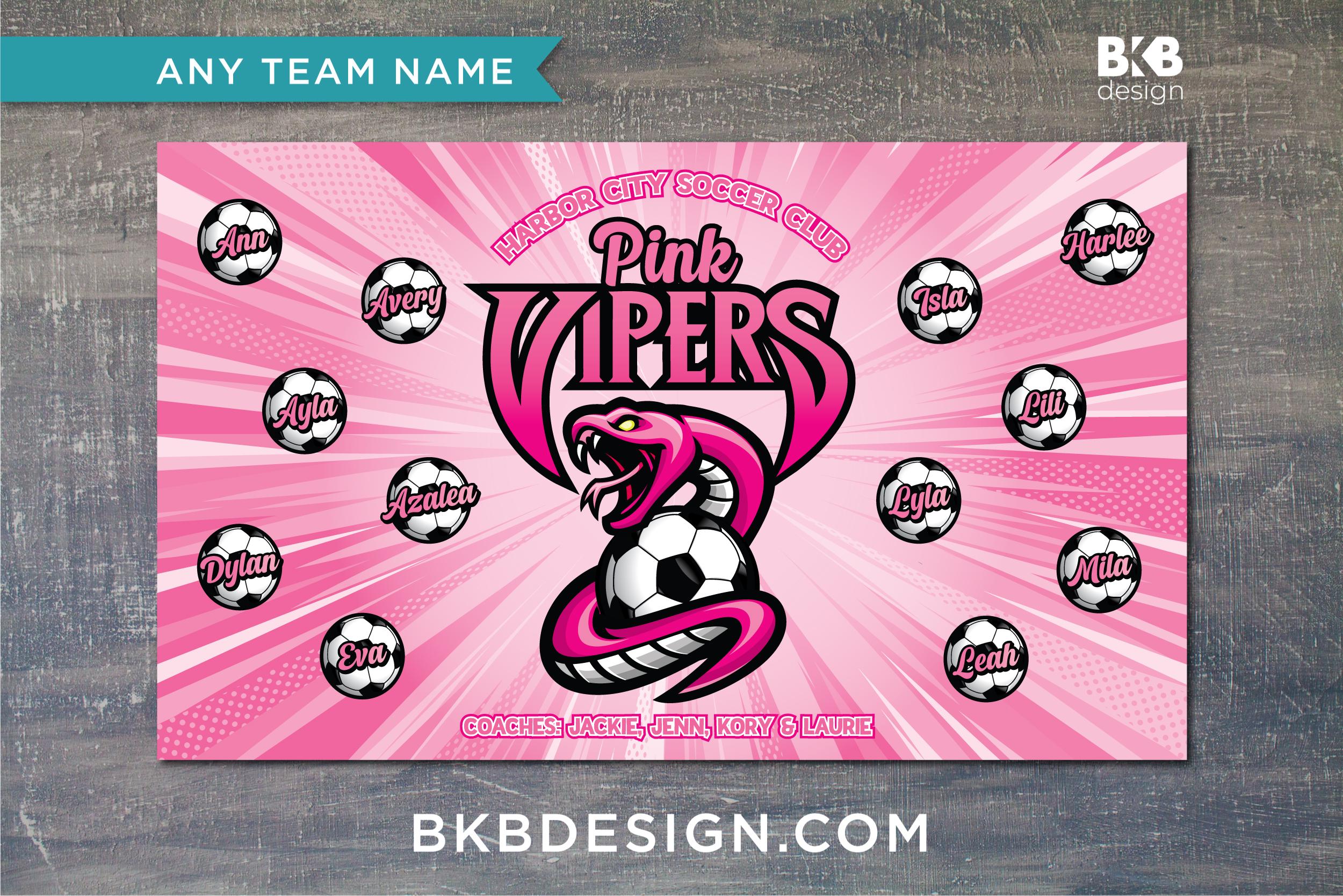 Custom Vinyl Soccer Team Banner: Snakes, Pythons, Vipers - Etsy