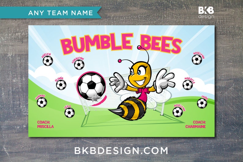 Custom Vinyl Soccer Team Banner, Sports Team Banners, Team Banners, Pineapple Princesses image 6