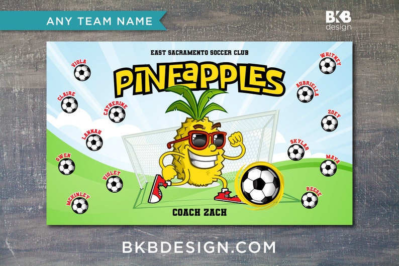 Custom Vinyl Soccer Team Banner, Sports Team Banners, Team Banners, Pineapple Princesses image 2