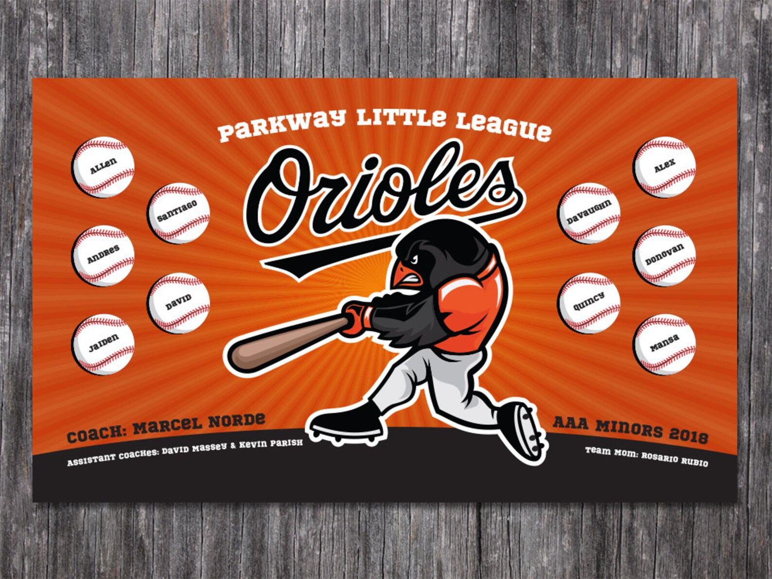 Custom Vinyl Baseball Banner Little League Banner TBall Etsy