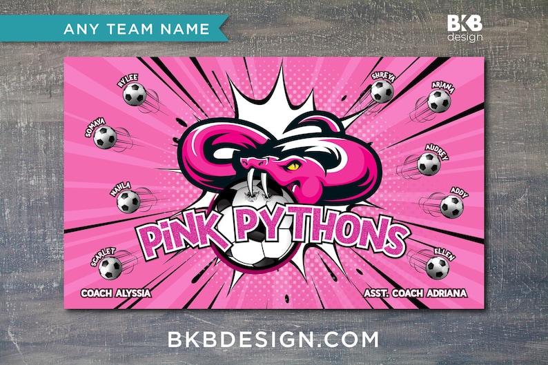 Custom Vinyl Soccer Team Banner: Snakes, Pythons, Vipers - Etsy