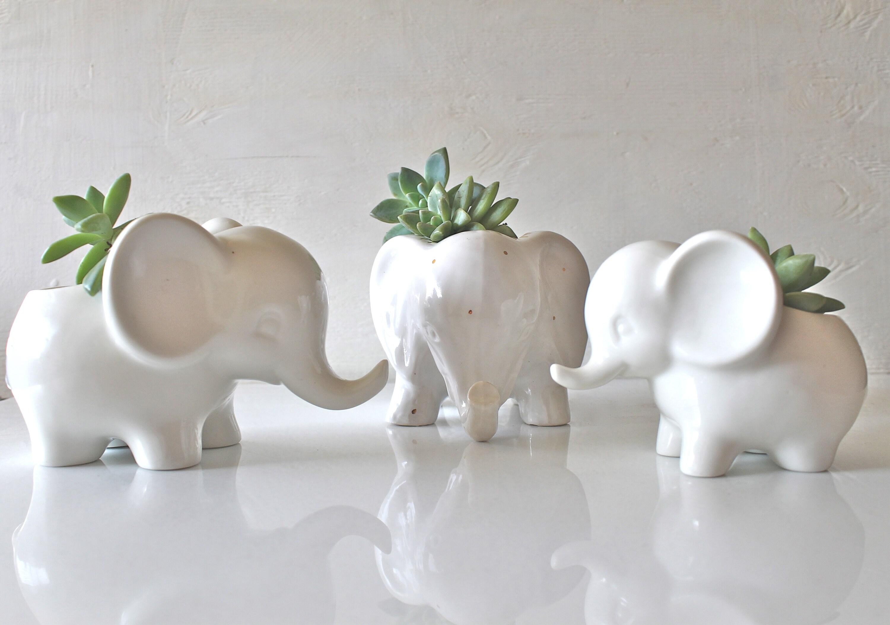 Ceramic elephant succulent planterMini elephant potPottery Etsy