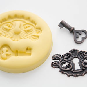 Lock and Key Silicone Mold: 2 Cavity