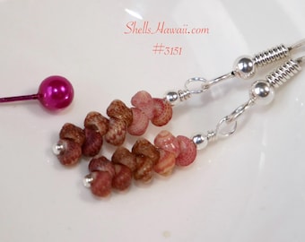 3/4" minimalist shell earrings wearable Hawaiian treasures made with Kahelelani shells #3151