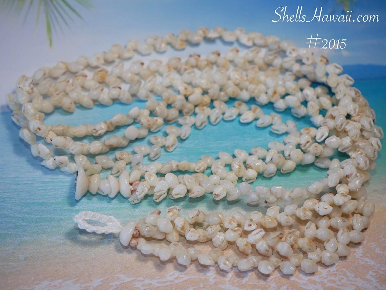 ShellsHawaii - Etsy 日本