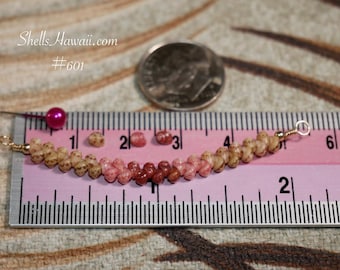 17" Hawaiian Shell Necklace Gift Minimalist Style from Niʻihau #601