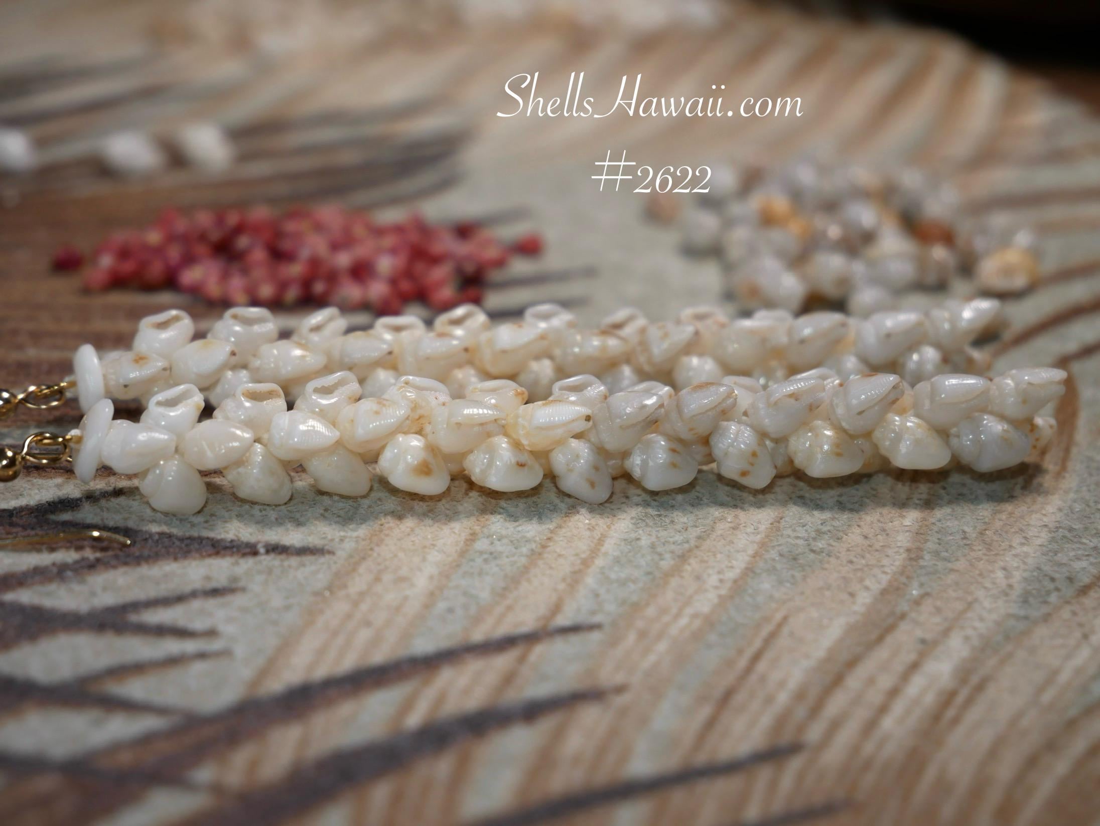 ShellsHawaii - Etsy 日本