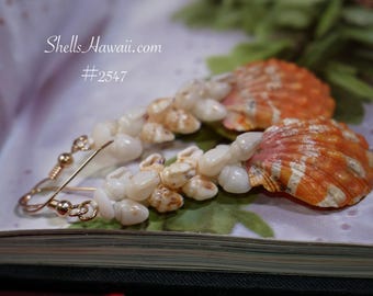 ShellsHawaii - Etsy 日本