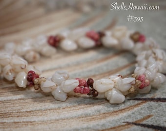 7 3/4" Hawaiian Kipona Style Shell Bracelet Island Jewelry with Momi & Kahelelani #395