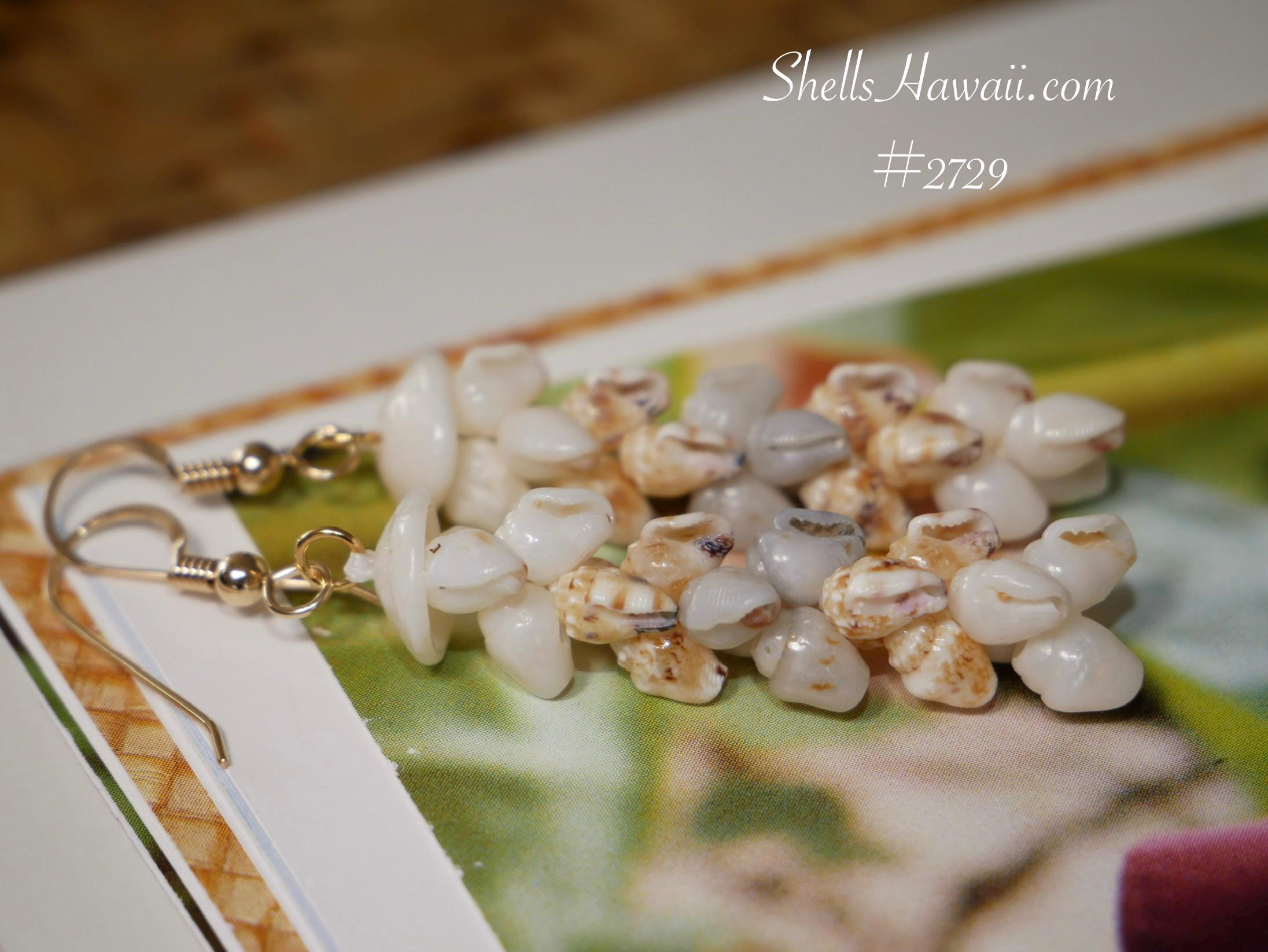 ShellsHawaii - Etsy 日本