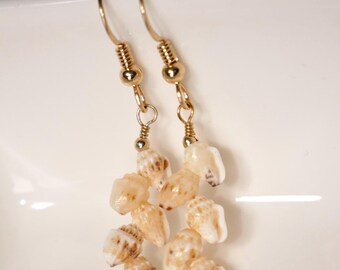 1" Niʻihau Momi Shell Earrings – Warm Tone Lightweight Dainty Jewelry #3011