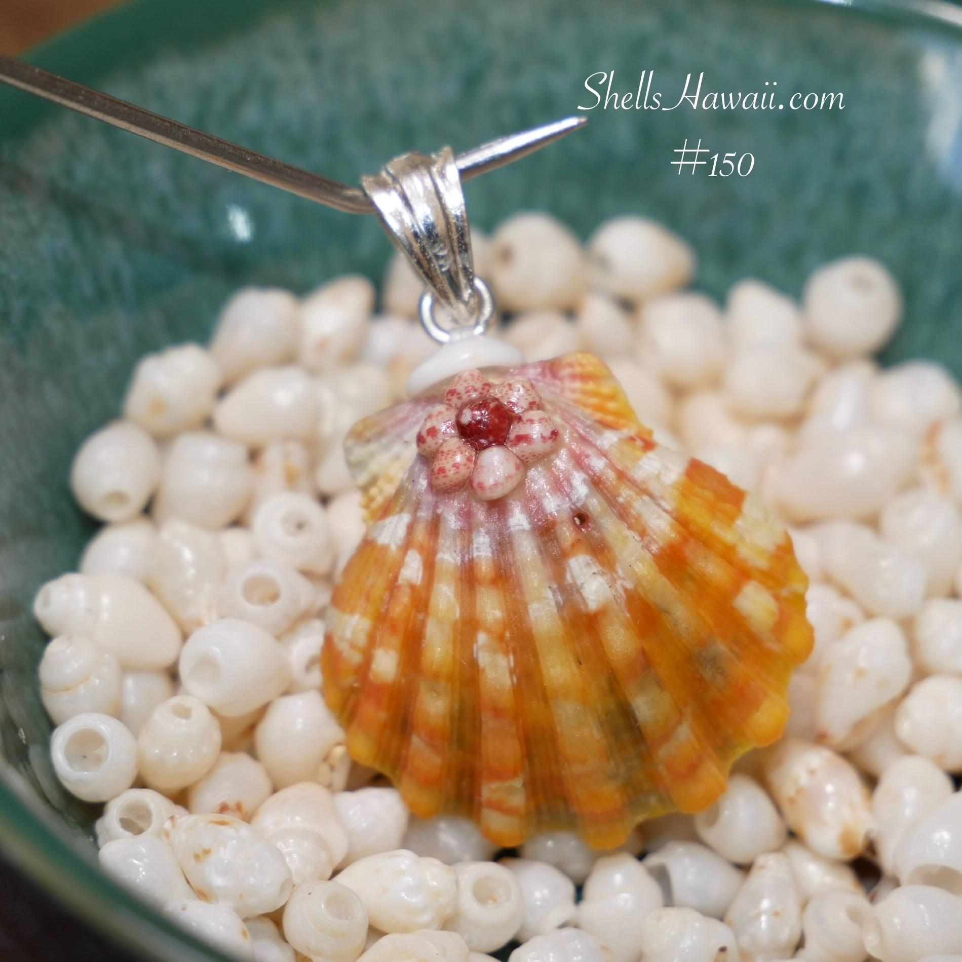 ShellsHawaii - Etsy 日本