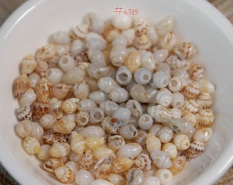 200 pcs Genuine Momi Shells from Niʻihau Small Size Jewelry Making Supply #4315