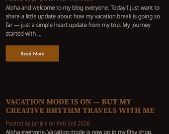 Beginner’s Guide — Start Your Niʻihau Shell Journey!