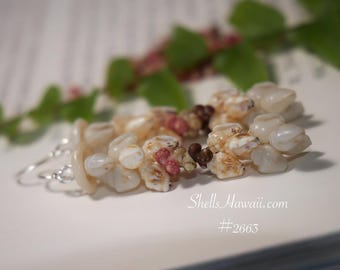 1 3/4" Niʻihau Kipona Style Earrings Made with Momi & Kahelelani Shells from Hawaiʻi #2663