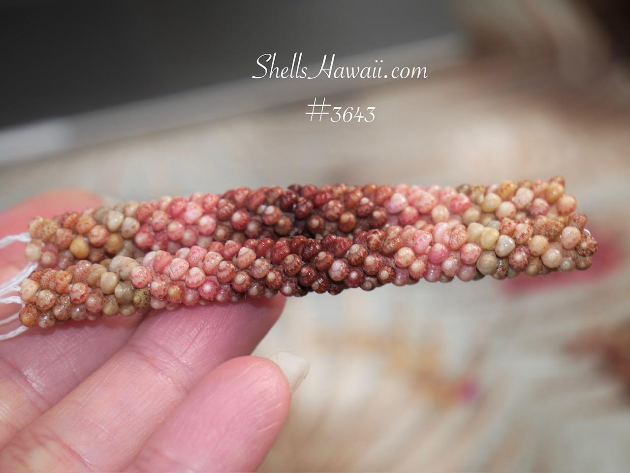 ShellsHawaii - Etsy 日本