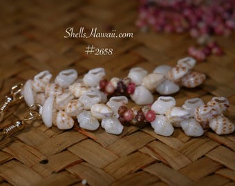 2" Kipona Style Niʻihau Shell Earrings with Genuine Momi and Kahelelani Shells #2658
