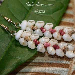 Kahelelani shells - Etsy 日本