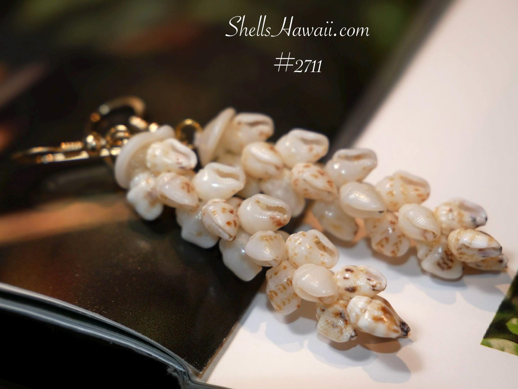ShellsHawaii - Etsy 日本