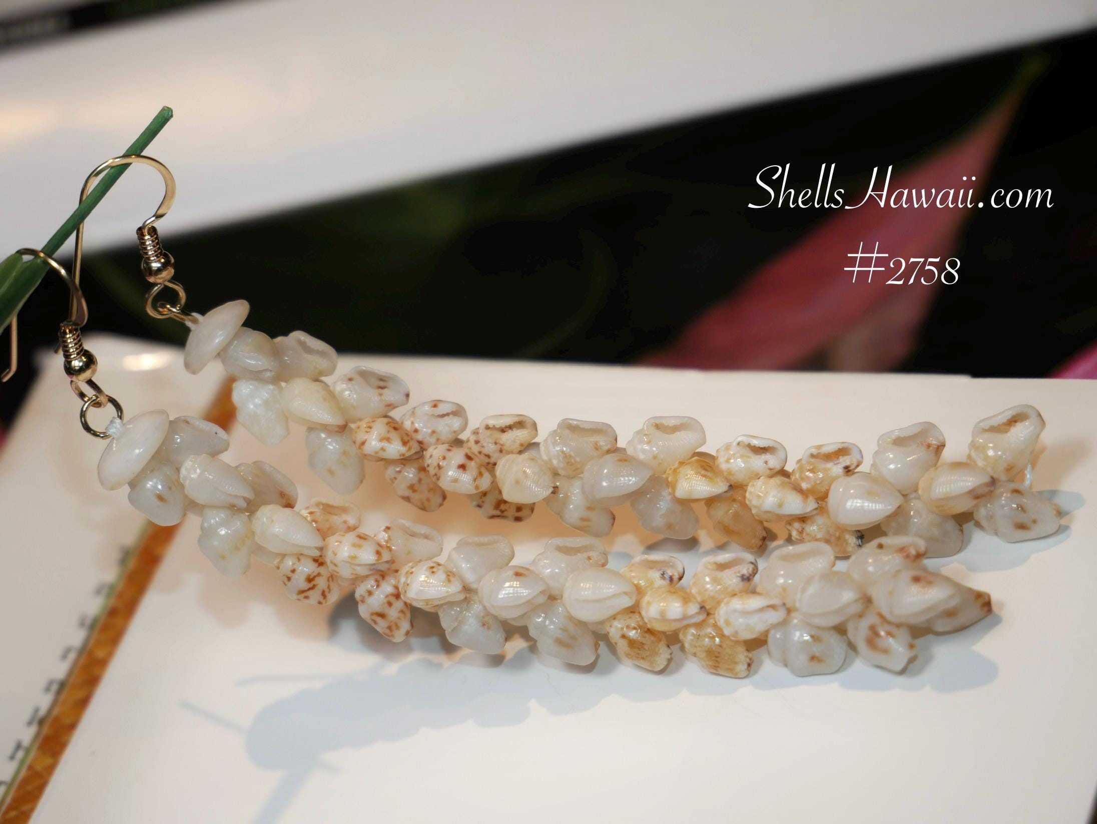 ShellsHawaii - Etsy 日本