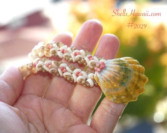 17 5/8" Niʻihau Momi Kipona Style Lei with Oʻahu Sunrise Shell #2029