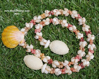 18.5" Momi, multi color Kahelelani & Sunrise shell necklace #916