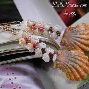 Op de afbeelding: Goudkleurige oorbellen met clusters van kleine, gebroken witte en bruine schelpen met rode kralen. Er zijn ook twee oranje en witte zeeschelpen aanwezig. De oorbellen worden getoond op een open boek met de tekst "ShellsHawaii.com #2551".