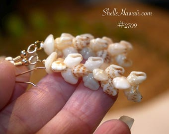 Pendientes de concha Ni'ihau – Conchas Momi estilo Pikake hechas a mano, chapadas en oro de 14 quilates