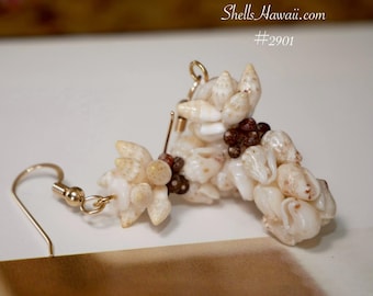1 1/4" Hawaiian Pineapple Style Shell Earrings #2901