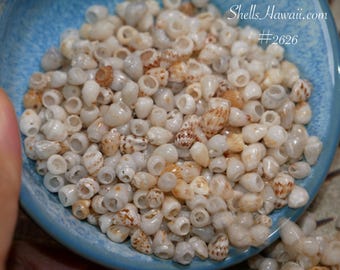 現在、この商品の在庫はありません - Etsy