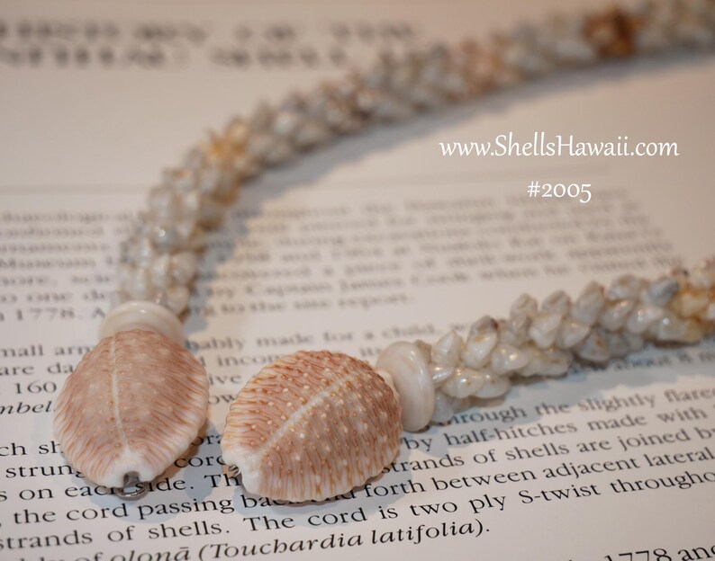 Unique Shell Lei 23.5