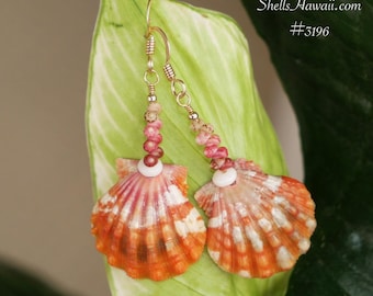 1 1/2" Sunrise Shell & Kahelelani Shell Earrings Minimalist Drop Hawaiian Jewelry #3196