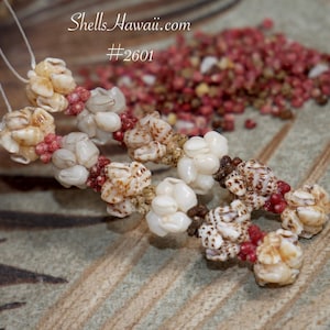 3&quot; Pupu O Niʻihau Crown Flower Style Earrings #2601