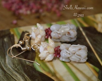 1 1/4" Hawaiian Pineapple Style Shell Earrings #2911