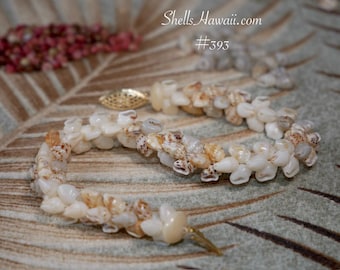 8 1/4" Hawaiian Pikake Style Shell Bracelet Island Jewelry with Momi #393
