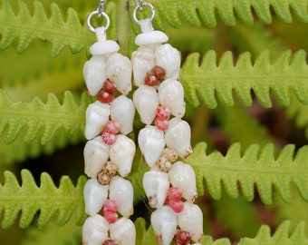 2" Momi and Kahelelani heliconia style shell earrings #937