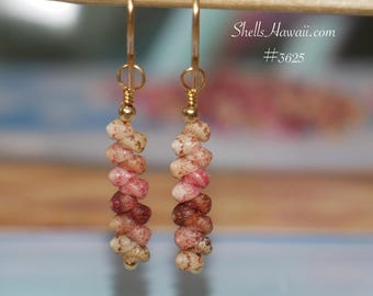 3/4" Kahelelani Hawaiian Shell Earrings Gift Island Style Drop #3625