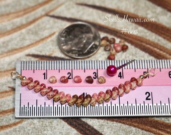 18" Genuine Hawaiian Shell Necklace from Niʻihau #603