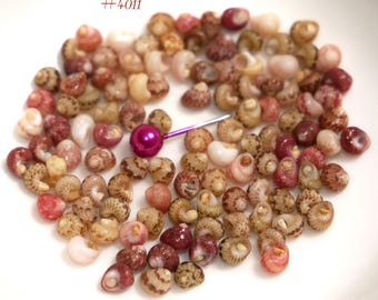 100 pcs Size 13 Kahelelani Shell Supply from Niʻihau – Beginner Jewelry Making #4011