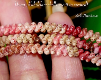 300 pcs Pupu Niihau Kahelelani shells, mix color and they are size 11 #3054