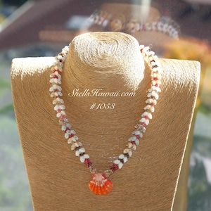18 1/2 ”Pupu O &#39;Niihau Muschelkette | Kahelelani, Momi & Sunrise Muschelkette| Einzigartiger Niihau Schmuck Muschelkette aus Hawaii #1053