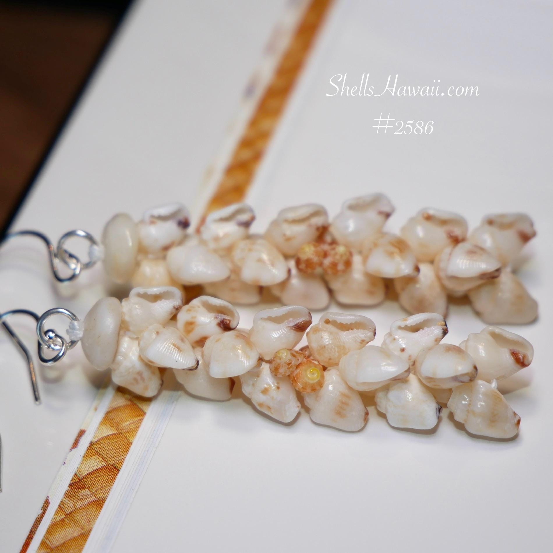 Niihau shells - Etsy 日本