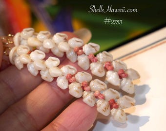 2 1/4" Kipona Earrings – Handmade Niʻihau Shell Jewelry with Shells from Hawaii #2753