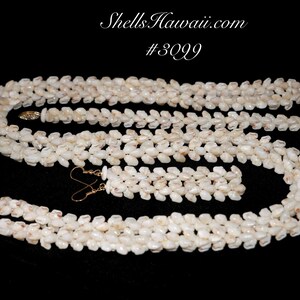 アップリカベビーベットプラスバンボニイハウシェルネックレス