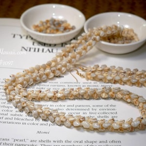23&quot; Matching Niʻihau Shell Necklace & Earrings Pikake Style Made with Momi Shells #1097