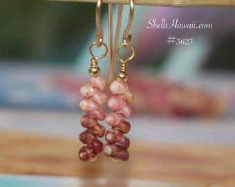 3/4" Kahelelani Shell Earrings Minimalist Drop Kauai Shell Jewelry #3623