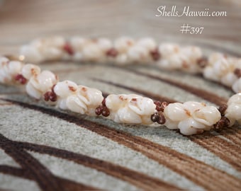 8 1/2" Niihau Momi & Kahelelani Shell Bracelet Kipona Style #397